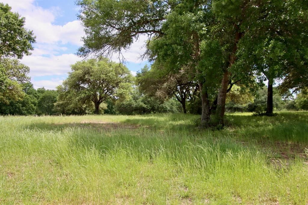 000 Hwy 59 N, Shepherd, Texas image 9