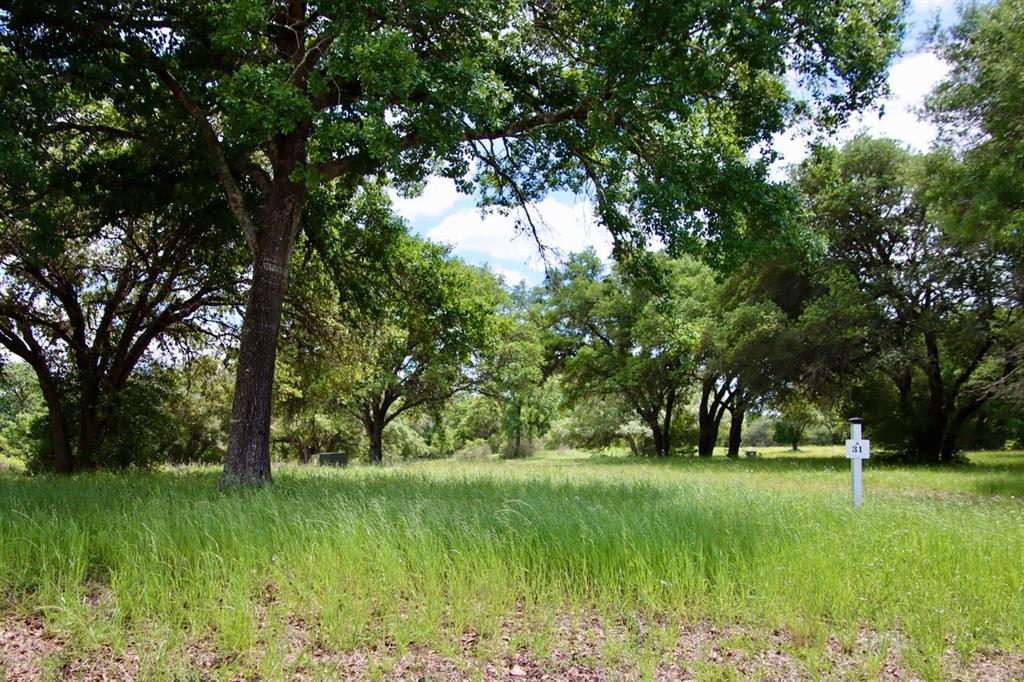 000 Hwy 59 N, Shepherd, Texas image 7