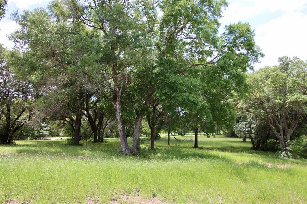 000 Hwy 59 N, Shepherd, Texas image 10