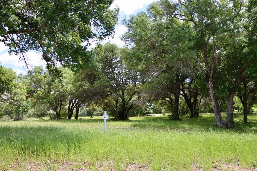 000 Hwy 59 N, Shepherd, Texas image 8