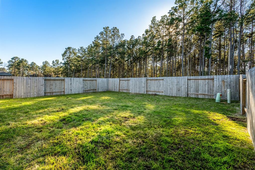 194 Bellewood Manor Drive, Magnolia, Texas image 34
