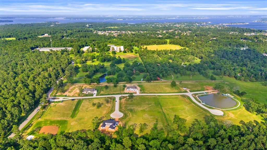 212 Bentwood Pond Trail, Montgomery, Texas image 5