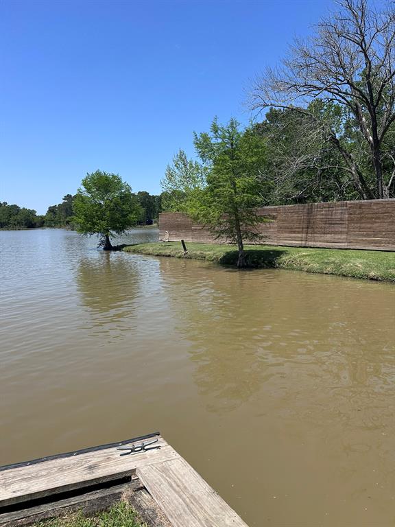 Pin Oak Drive, Houston, Texas image 5