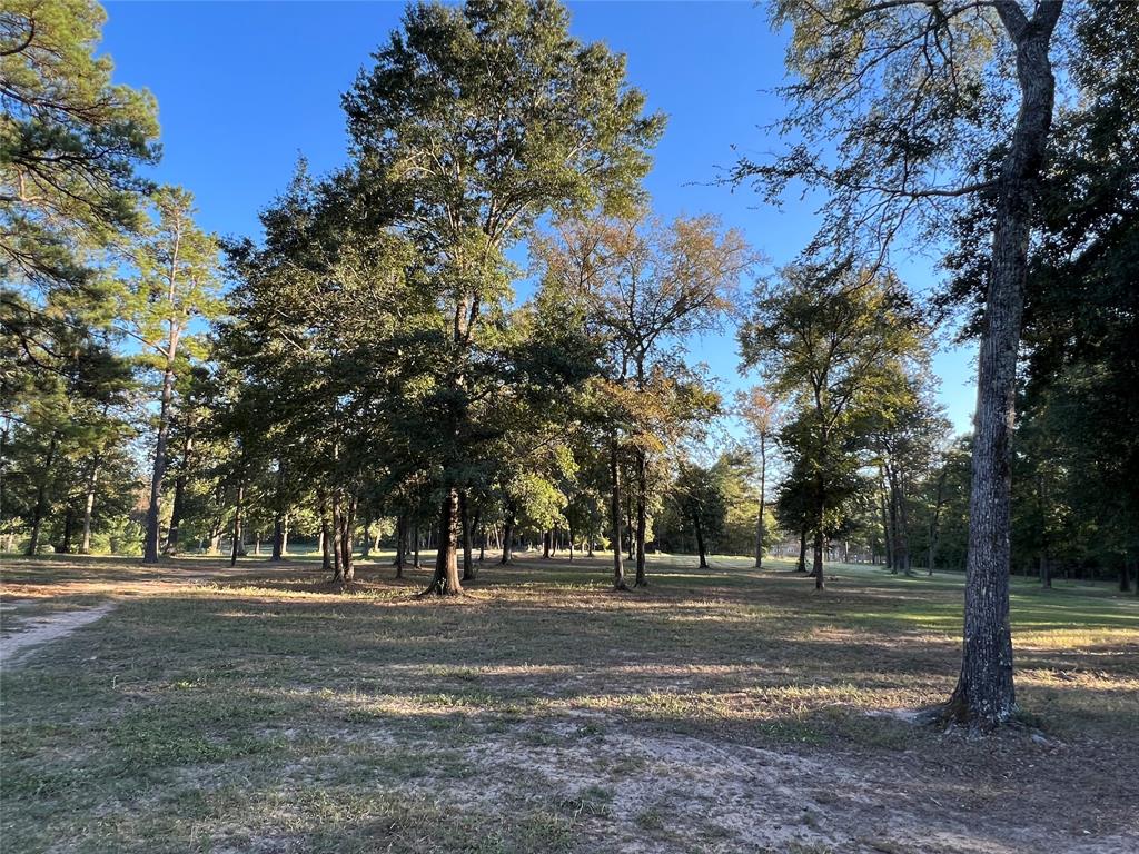 31322 Strathmore Road, Waller, Texas image 8