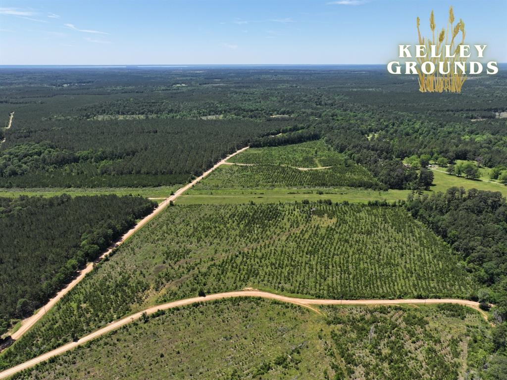 2-9 Kelley Road, Livingston, Texas image 3