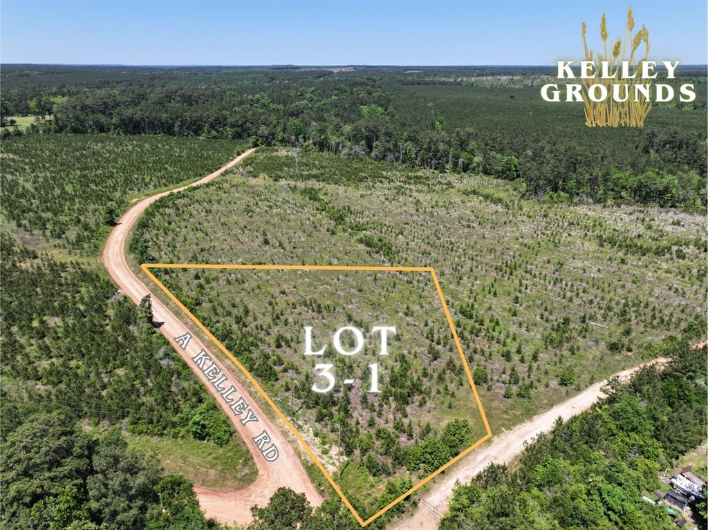 2-9 Kelley Road, Livingston, Texas image 19