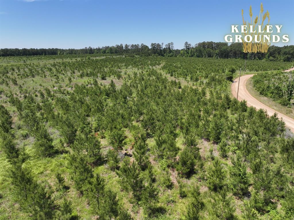 2-9 Kelley Road, Livingston, Texas image 2