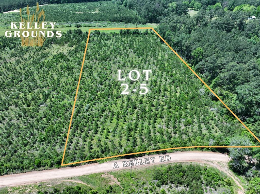 2-9 Kelley Road, Livingston, Texas image 14