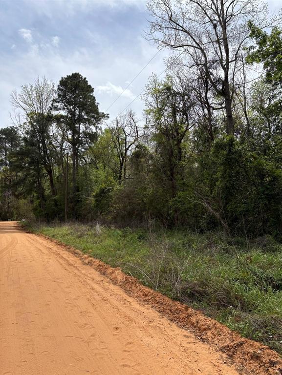 1162 The Ole Don Road, Livingston, Texas image 2