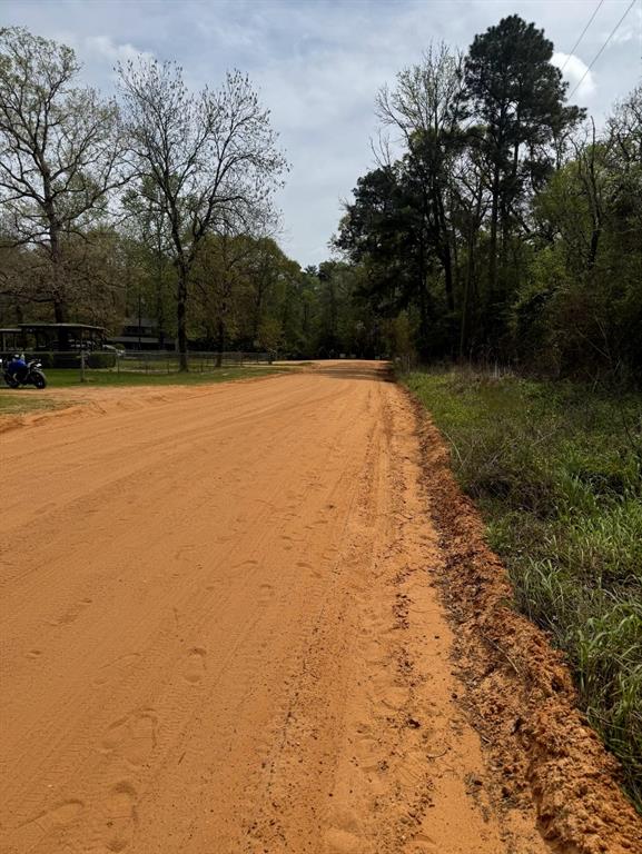 1162 The Ole Don Road, Livingston, Texas image 7