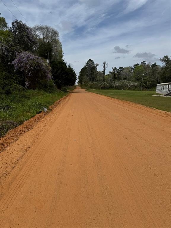 1162 The Ole Don Road, Livingston, Texas image 1