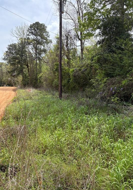 1162 The Ole Don Road, Livingston, Texas image 4
