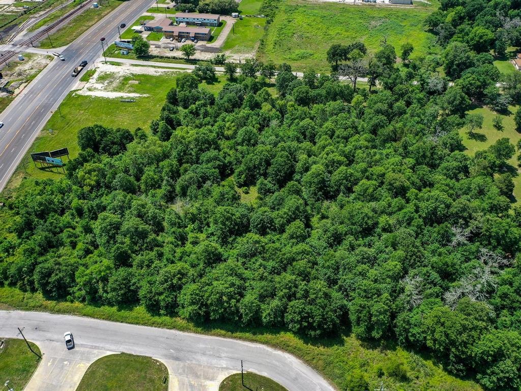 5.6 Acres Highway 19, Trinity, Texas image 8