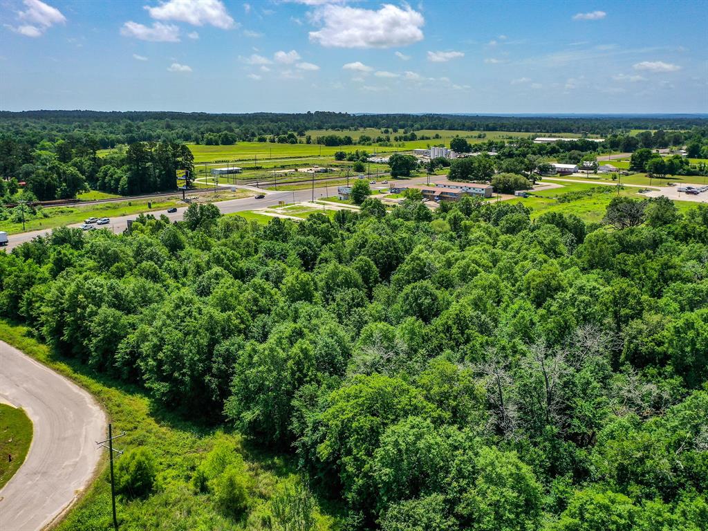 5.6 Acres Highway 19, Trinity, Texas image 9