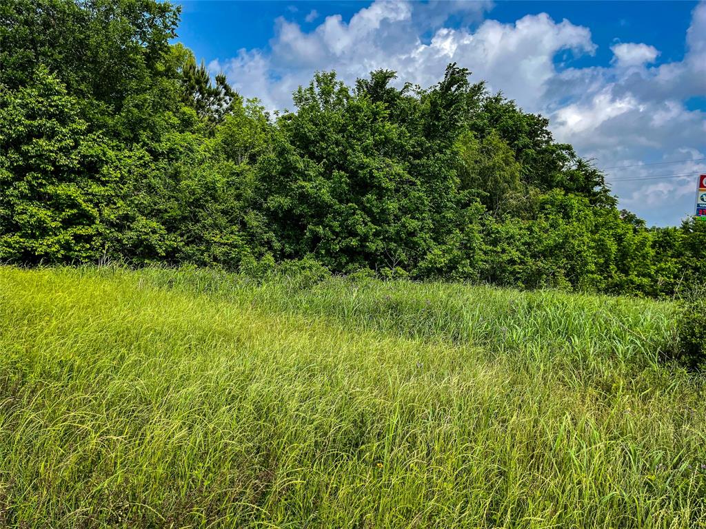 5.6 Acres Highway 19, Trinity, Texas image 6