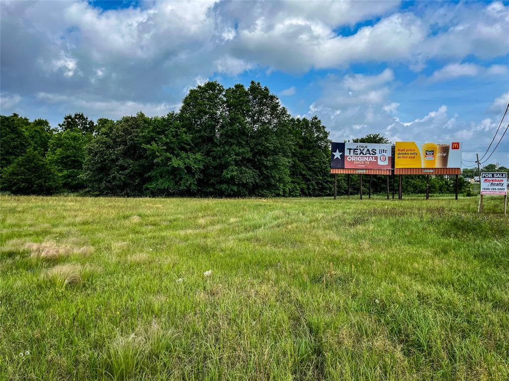 5.6 Acres Highway 19, Trinity, Texas image 4