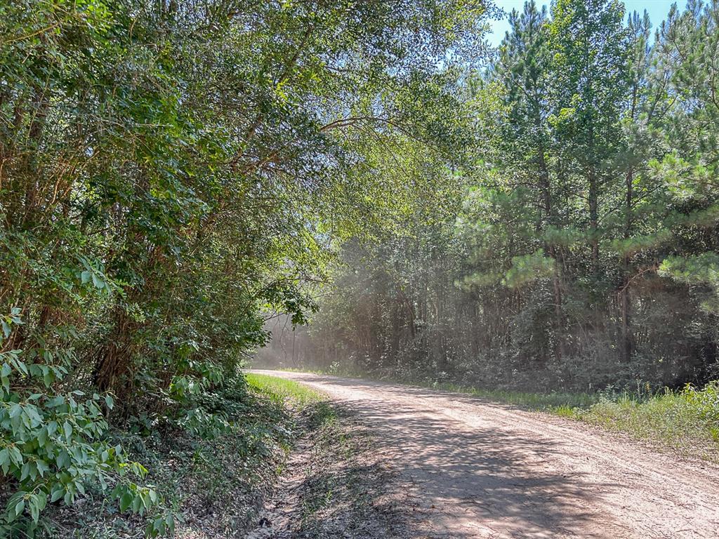 000000 Cr 368a, Zavalla, Texas image 8