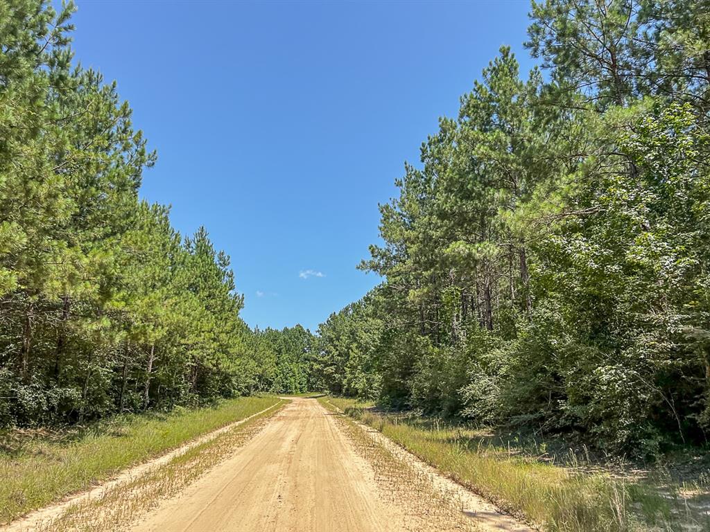 000000 Cr 368a, Zavalla, Texas image 5