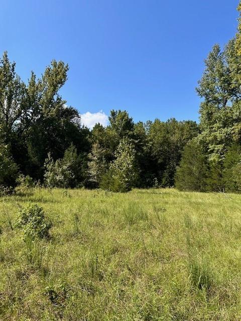 TBD County Road 1755 Houston Co, Grapeland, Texas image 17