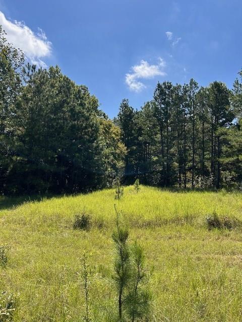 TBD County Road 1755 Houston Co, Grapeland, Texas image 19