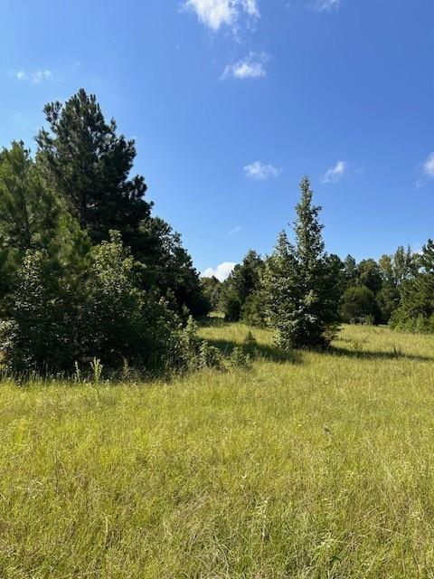 TBD County Road 1755 Houston Co, Grapeland, Texas image 15