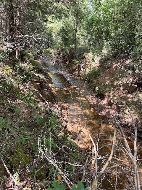 TBD County Road 1755 Houston Co, Grapeland, Texas image 7