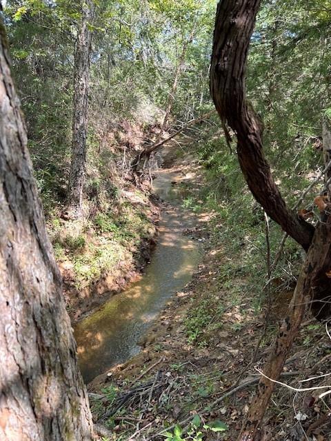 TBD County Road 1755 Houston Co, Grapeland, Texas image 6