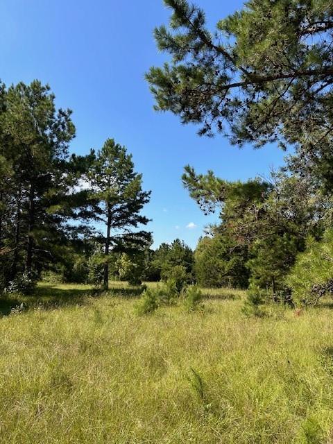 TBD County Road 1755 Houston Co, Grapeland, Texas image 18