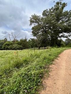 TBD County Road 1755 Houston Co, Grapeland, Texas image 1