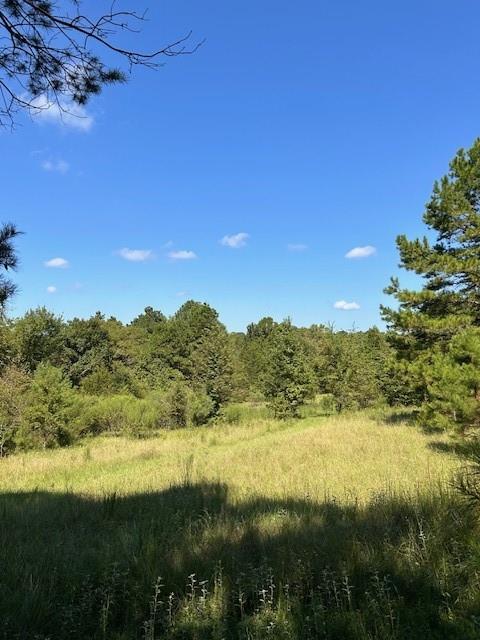 TBD County Road 1755 Houston Co, Grapeland, Texas image 13