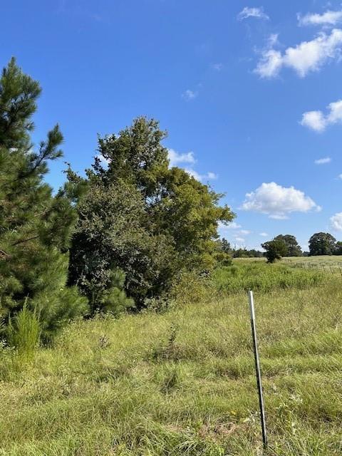 TBD County Road 1755 Houston Co, Grapeland, Texas image 9