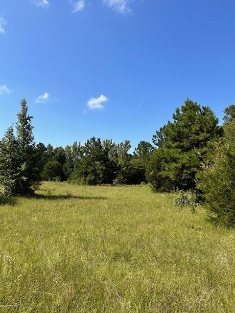 TBD County Road 1755 Houston Co, Grapeland, Texas image 16