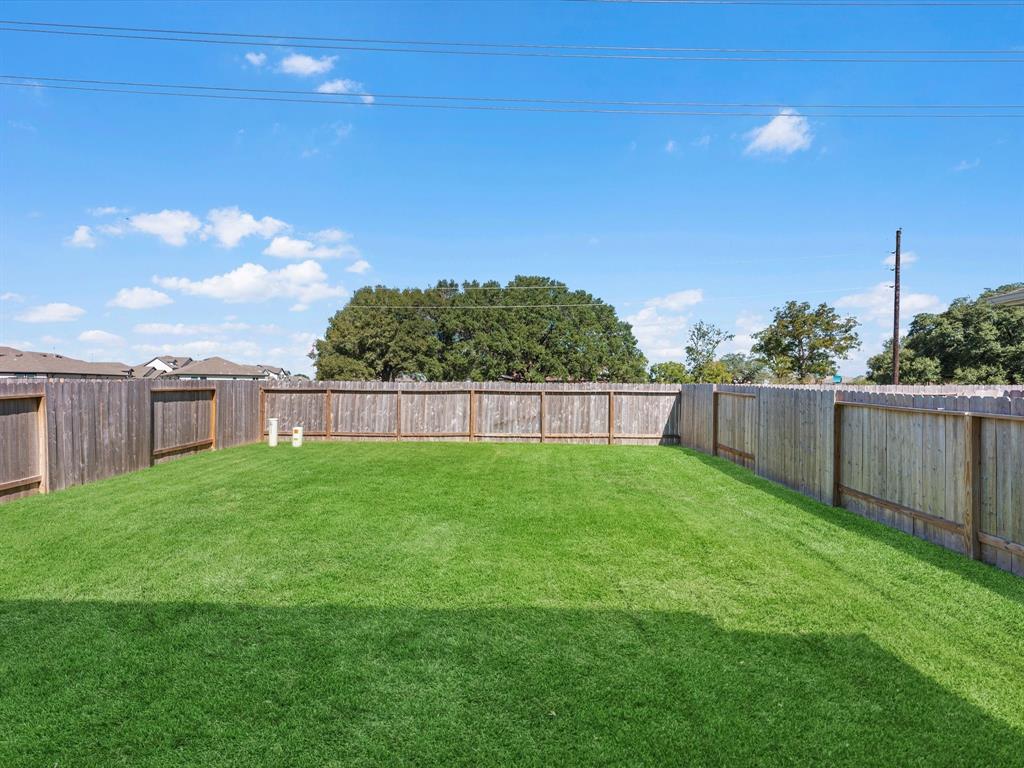 23814 Escardilla Drive, Hockley, Texas image 23