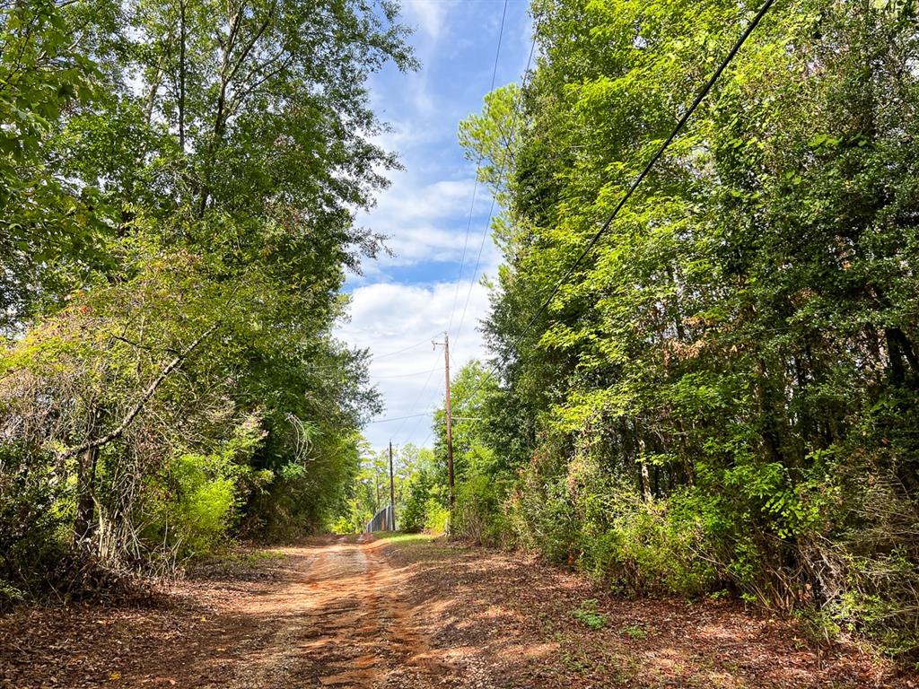 7045 State Highway 75