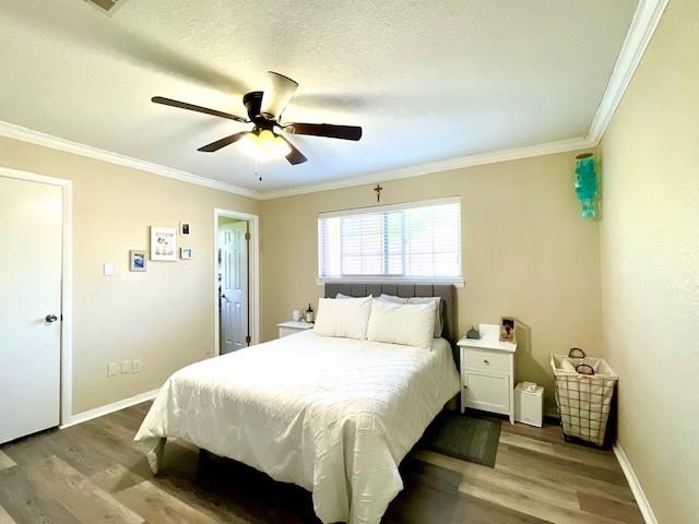 505 W Mimosa Street, Angleton, Texas image 6
