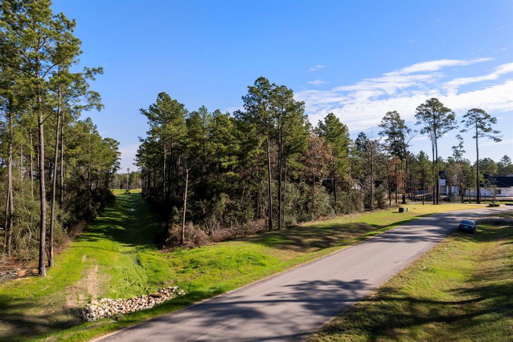 7508 High Meadow Ridge Drive, Montgomery, Texas image 1