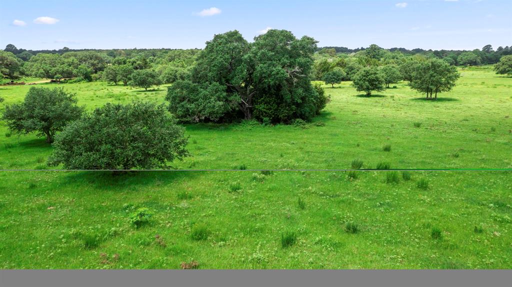 1017 New Ulm Road, Cat Spring, Texas image 6