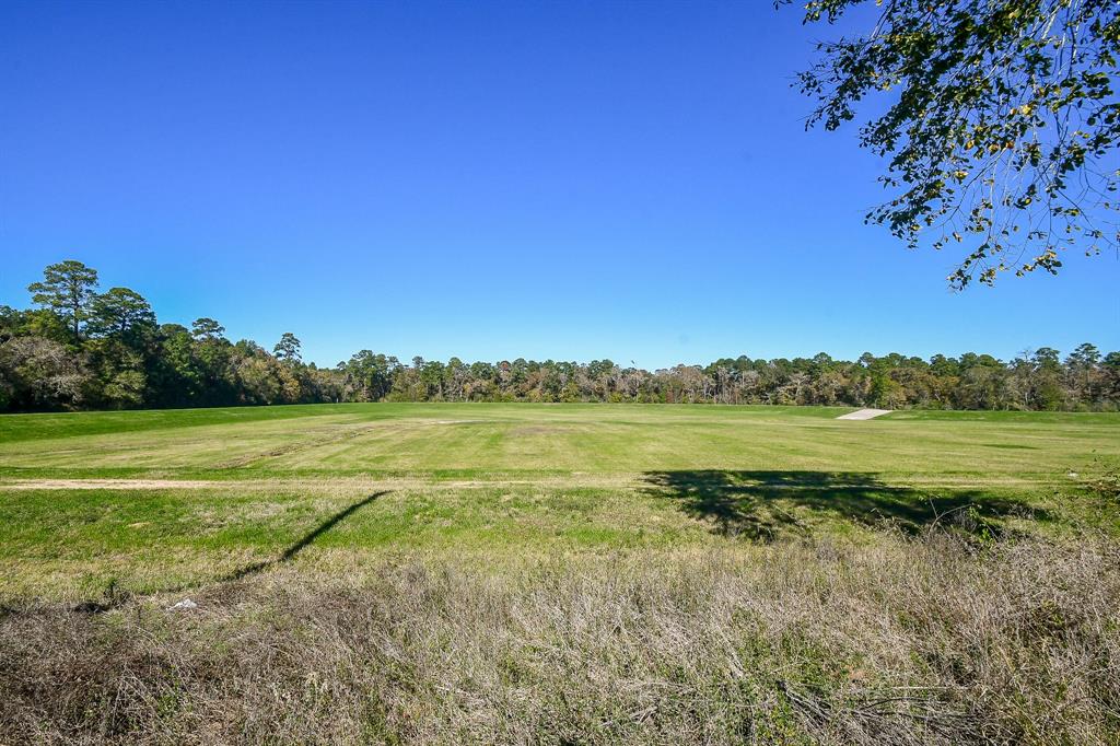 22718 Steel Blue Jaybird Drive, Hockley, Texas image 30