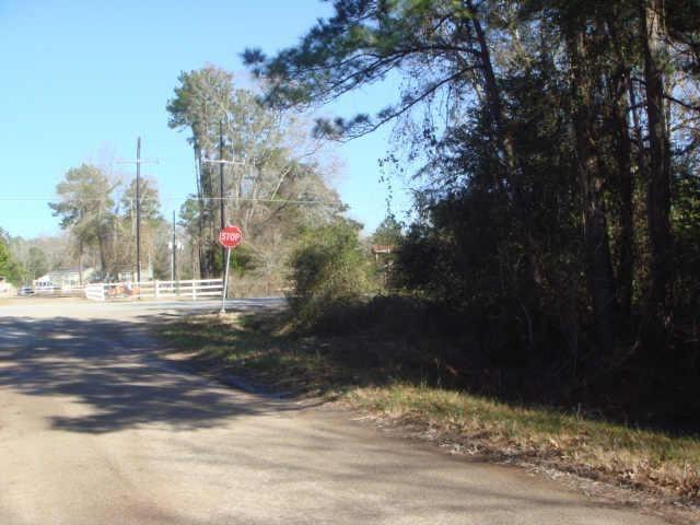 Idle Wilde Roadway, New Caney, Texas image 2