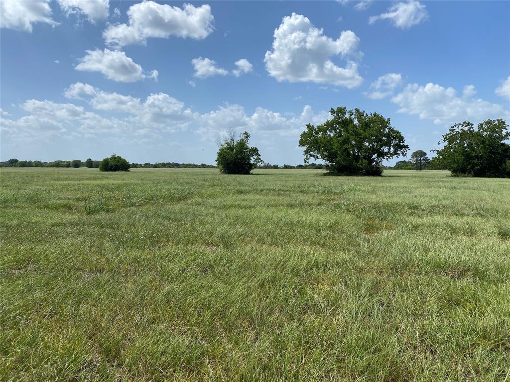 504 Brahman Trail, Angleton, Texas image 8