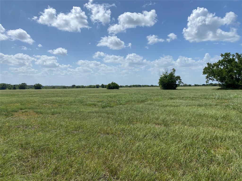 504 Brahman Trail, Angleton, Texas image 7