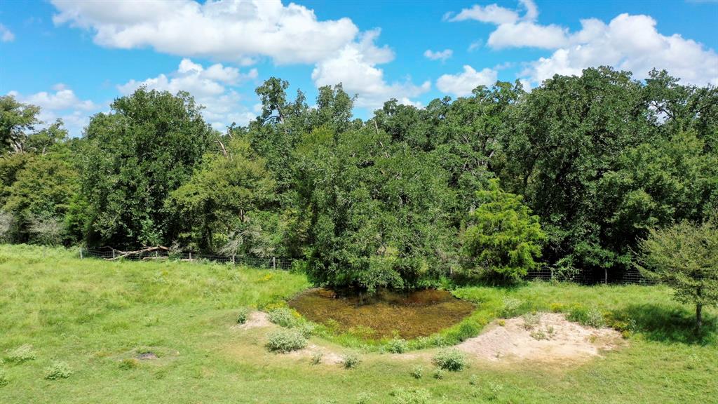 2266 Dutton Lane, Madisonville, Texas image 37