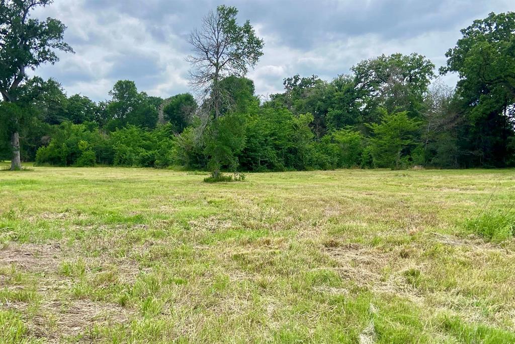 Lot 1 County Road 137, Caldwell, Texas image 4