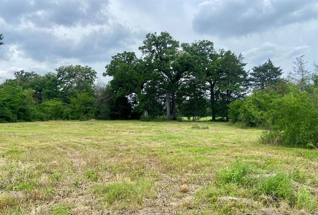 Lot 1 County Road 137, Caldwell, Texas image 1