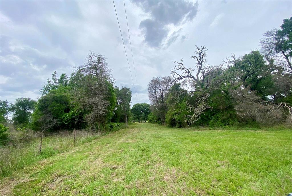 Lot 1 County Road 137, Caldwell, Texas image 3