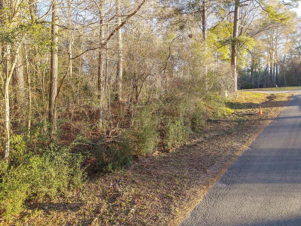 Lot 47 County Road 185, Jasper, Texas image 9