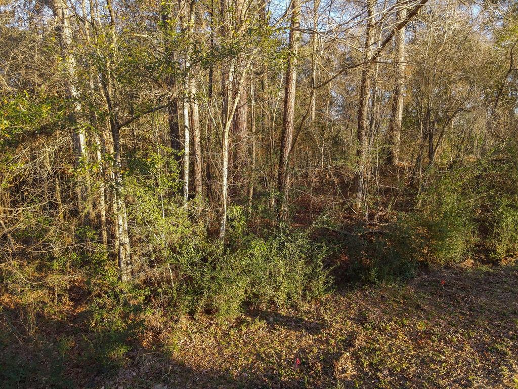 Lot 47 County Road 185, Jasper, Texas image 7