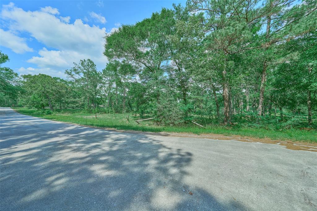 27592 S Log Cabin Road, Montgomery, Texas image 1