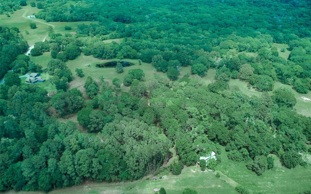 27592 S Log Cabin Road, Montgomery, Texas image 2