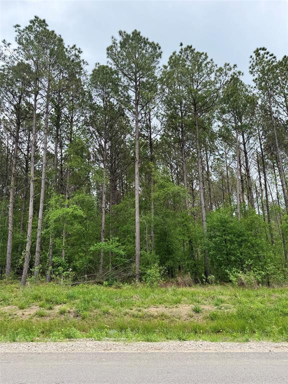 1288 Road 6604, Dayton, Texas image 7